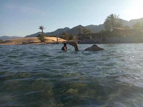A Pousada Sebaii Camp السباعى كامب شاطئ الترابين بجوار ويت بالس Nuweiba‘ el Muzeinah Exterior foto