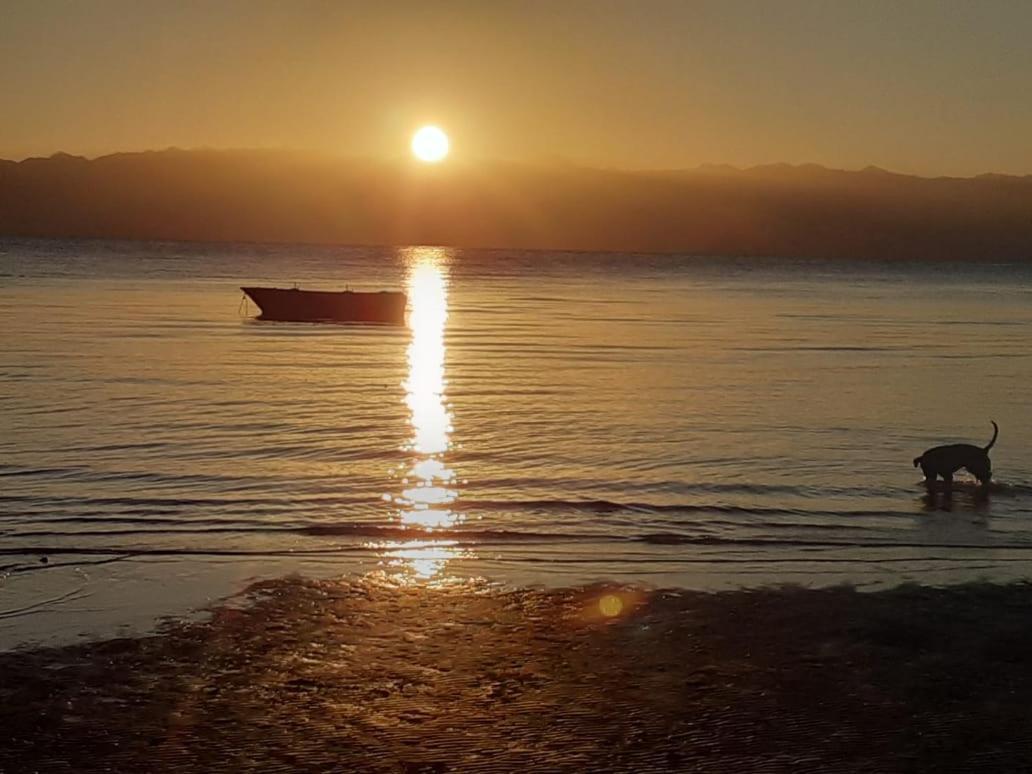 A Pousada Sebaii Camp السباعى كامب شاطئ الترابين بجوار ويت بالس Nuweiba‘ el Muzeinah Exterior foto